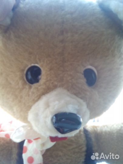 Классный мишка СССР