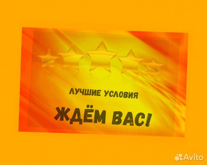 Наборщик заказов Без опыта Еженедельные выплаты