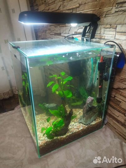 Аквариум