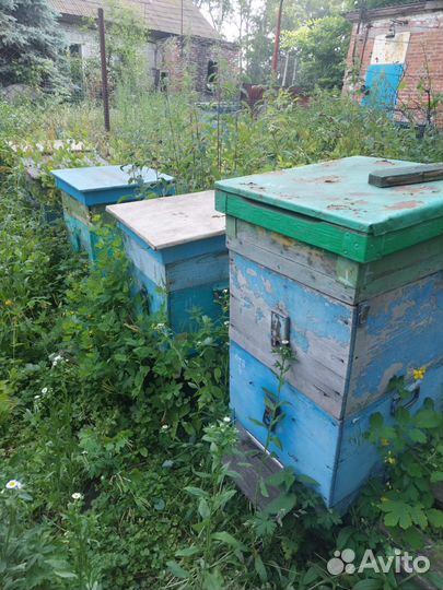 Все для пасеки