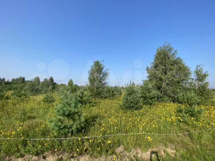 Участок 6 сот. (ИЖС)