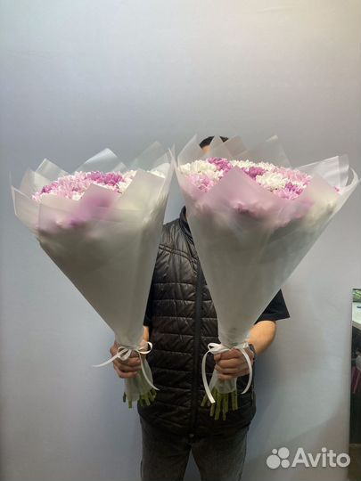 Цветы ромашки