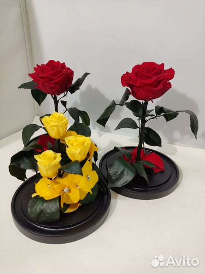 Роза в колбе опт