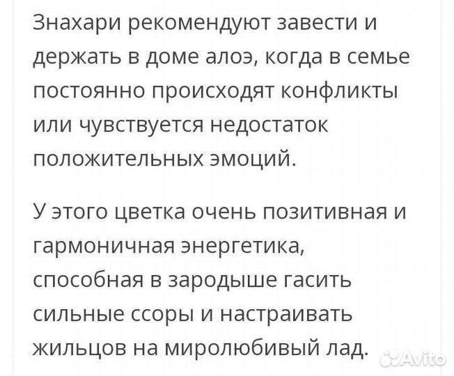 Алоэ древовидный лечебный