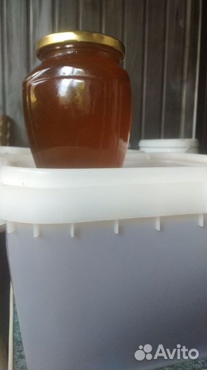 Мéд цветочный