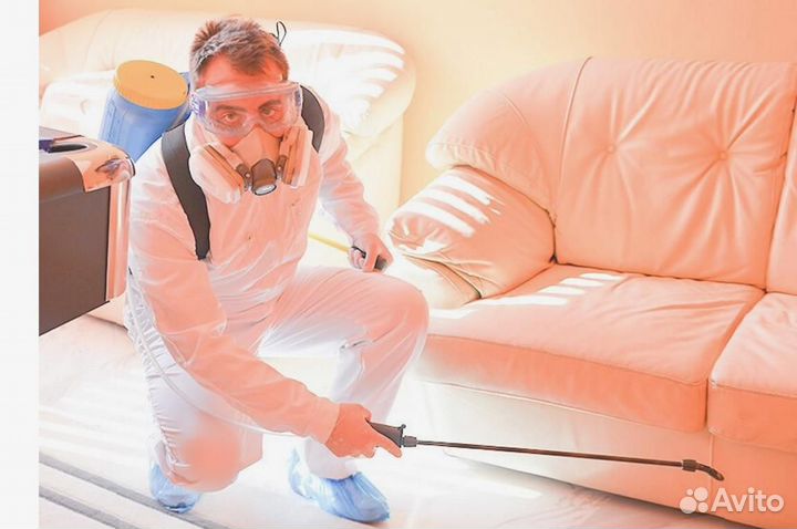 Уничтожение клопов тараканов грызунов блох