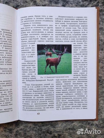 Книги Птицы Кабардино-Балкарии, Млекопитающие кбр