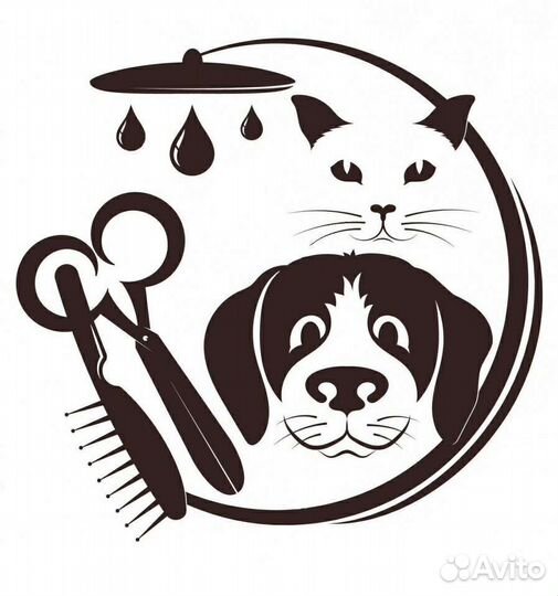 Услуги грумера