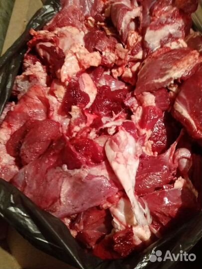 Щеки говяжьи, Корм, мясо для собак, кошек