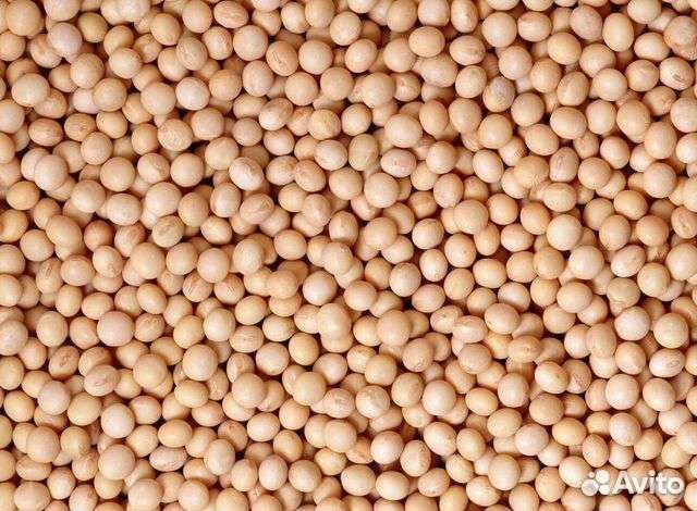 Горох пшеница ячмень