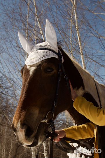 Конные прогулки