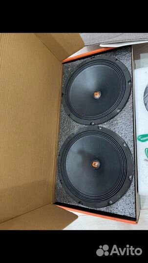 Новые динамики Dl Audio Raven 200