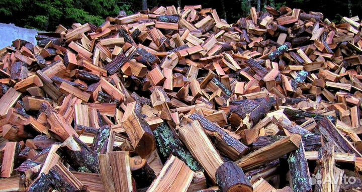 Дрова осина