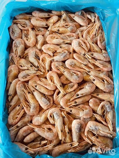 Креветка северная икряная