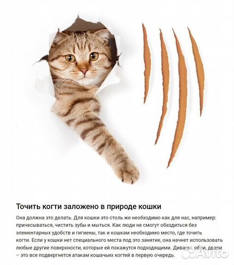 Домик для кошки, Когтеточка, Игровой комплекс