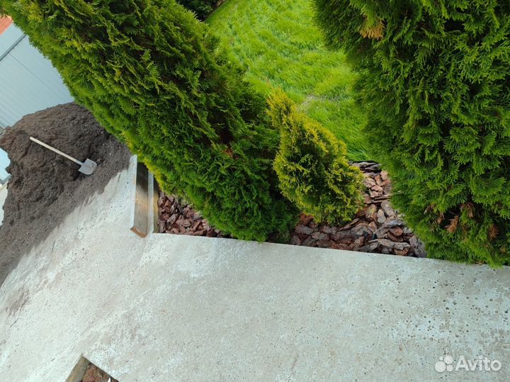 Сосновая кора / премиум