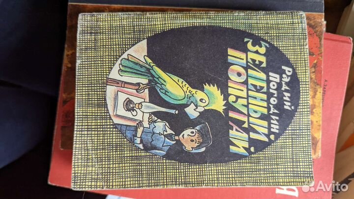 Тёплая осень, Ремида Радовская