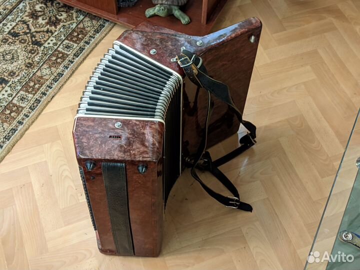 Аккордеон Восход