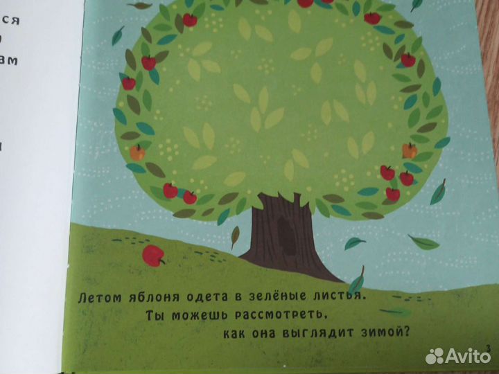 Детская книга. Что скрывает яблоня