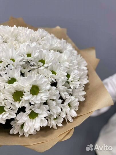 Большой букет из ромашек (хризантем)