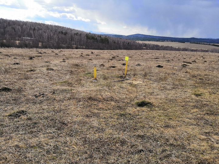 Участок 987,99 га (СНТ, ДНП)