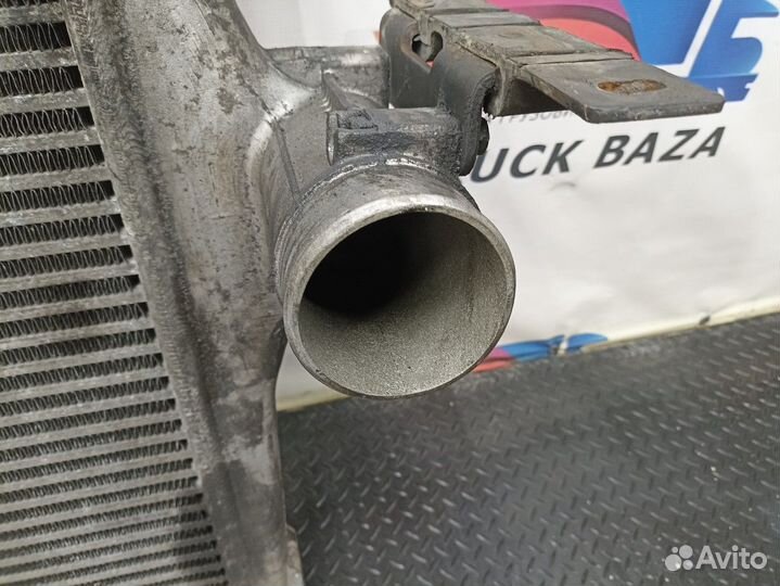 41214448 Интеркулер Iveco Stralis