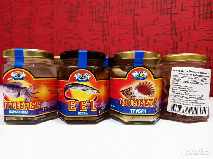 Угорь, трубач, каракатица, осьминоги