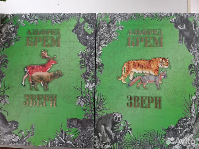 Альфред Брем Энциклопедия