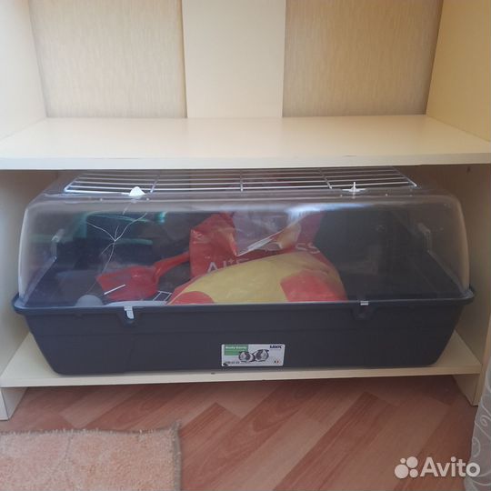 Клетка дюна