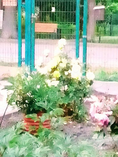 Дом 72 м² на участке 4 сот.