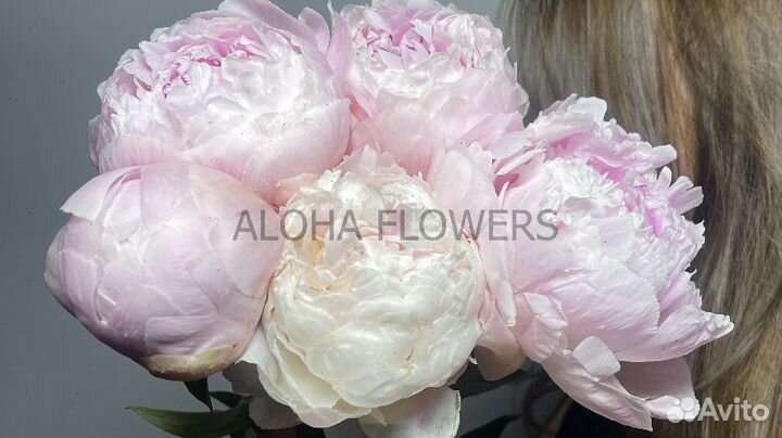 Пионы с доставкой