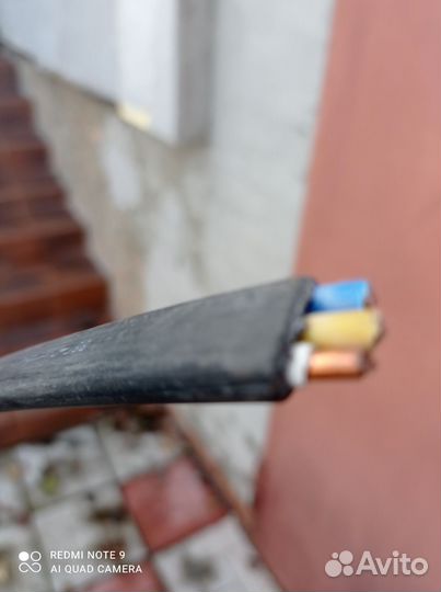 Кабель ввг3 -6