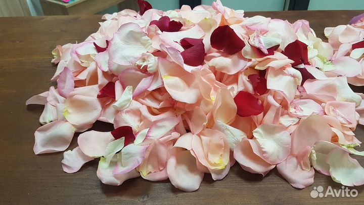 Лепестки роз