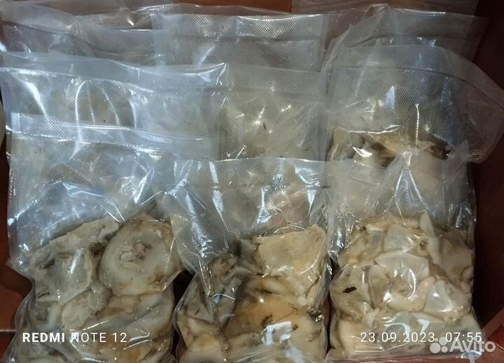 Грузди белые соленые