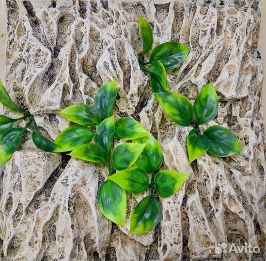 Фон для террариумов (цвет и размер ассортимент)