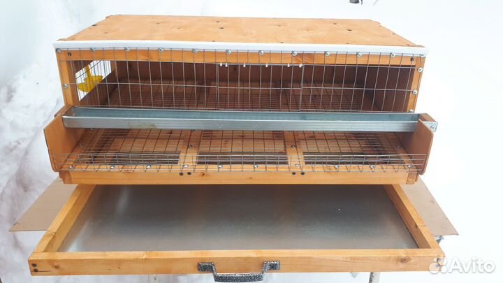 Клетка для перепелов