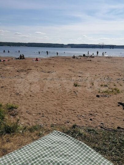 Участок 31 сот. (СНТ, ДНП)