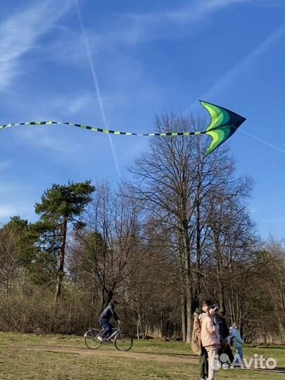 Воздушный змей огромный Орел 2-метровый и др