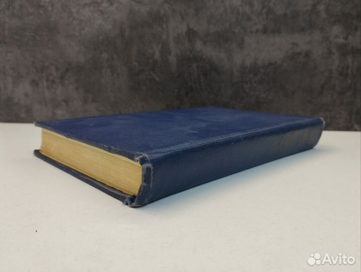 Альфонс Додэ. Набоб