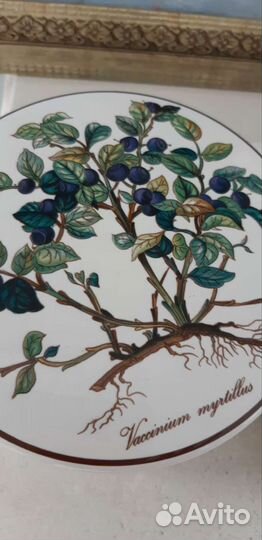 Банки, шкатулки Villeroy&Boch фарфор Германия