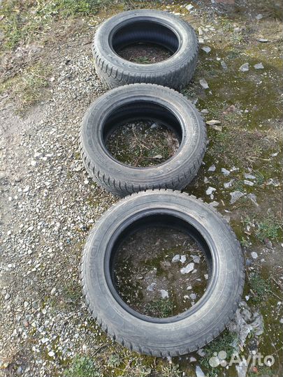 Nordman 5 185/65 R15