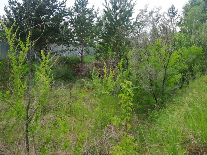 Участок 12,5 сот. (ИЖС)