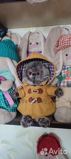 Кот басик /budi basa basik