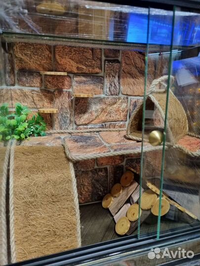 Террариум для пауков, эублефаров, агам