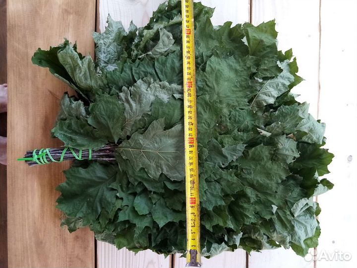 Веники для бани