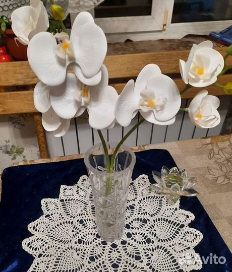 Цветы орхидеи