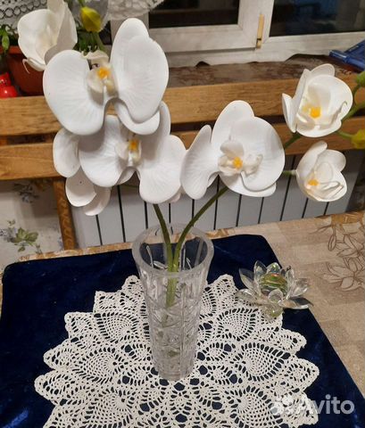 Цветы орхидеи