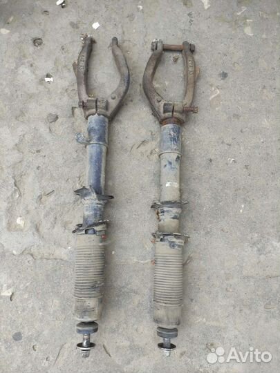 Амартизаторы для Honda Elysion