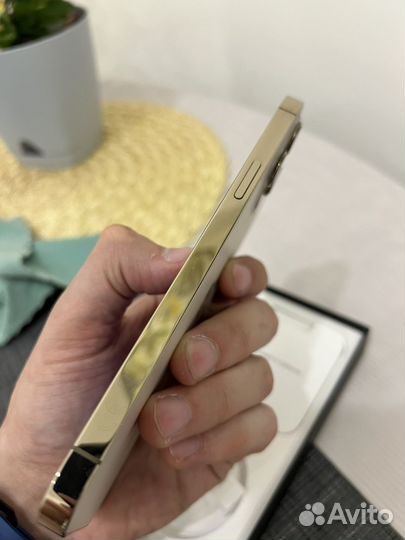 iPhone 12 Pro Max, 256 ГБ
