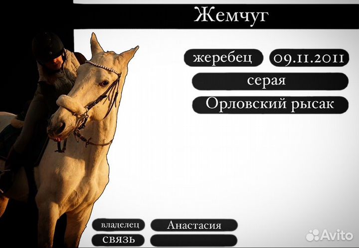 Таблички на денник